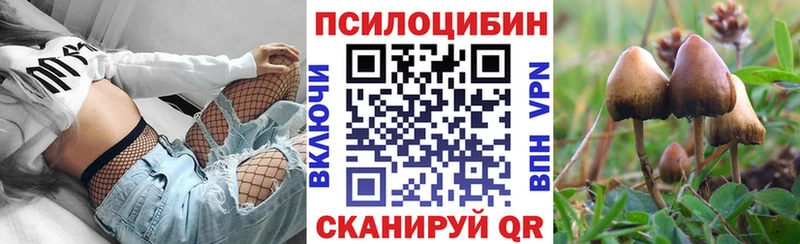 Псилоцибиновые грибы Psilocybine cubensis  Купить  Ялта 